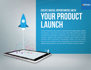 Ektron Product Launch eBook Cover